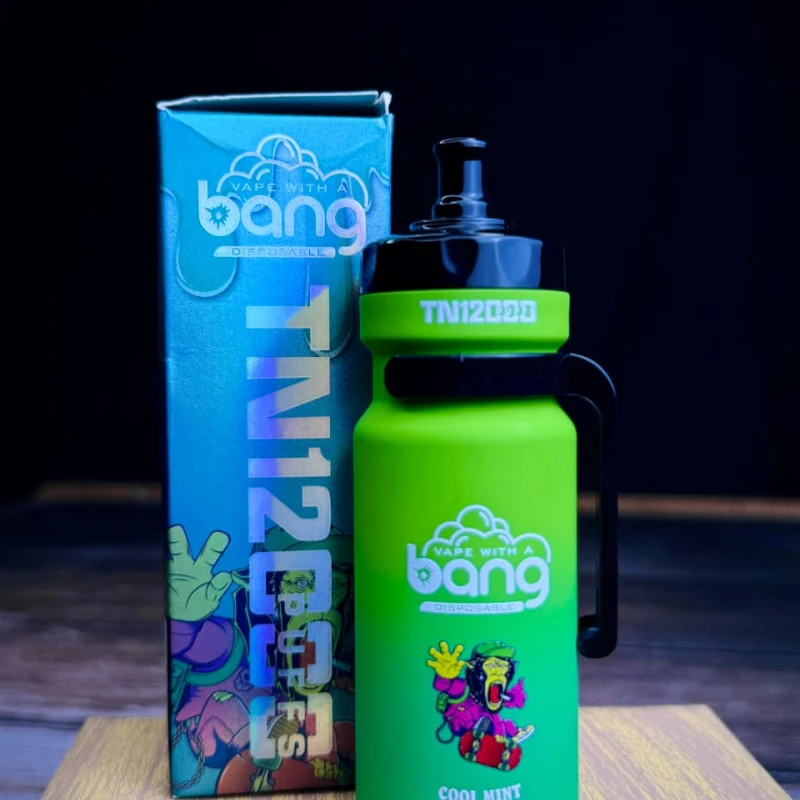 12000 PUFFS Cool Mint Flavor Disposable VAPE