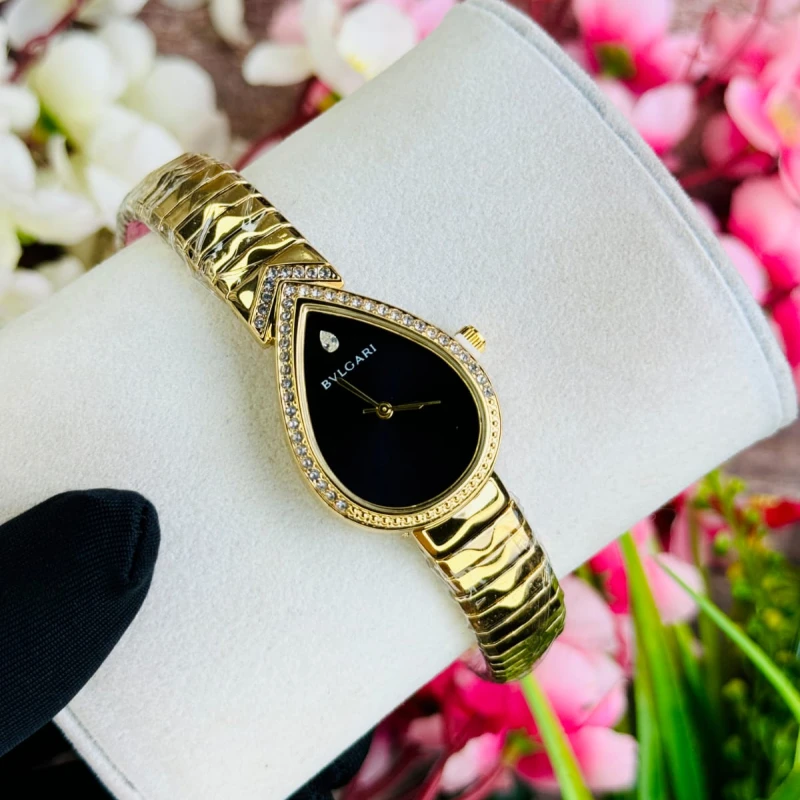 Gorgeous Ladies Watch