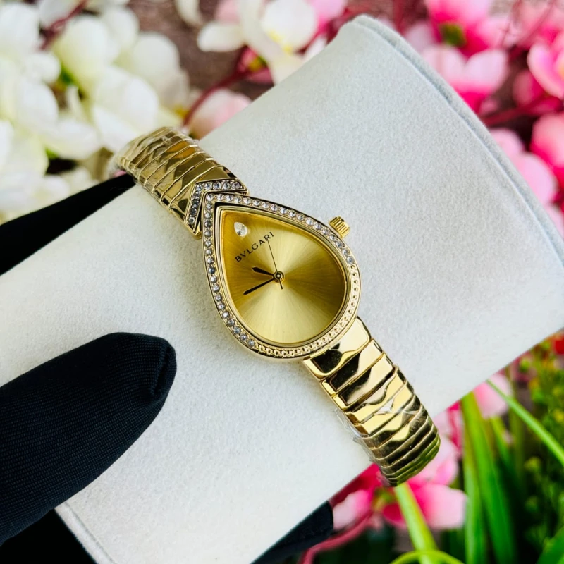 Gorgeous Ladies Watch
