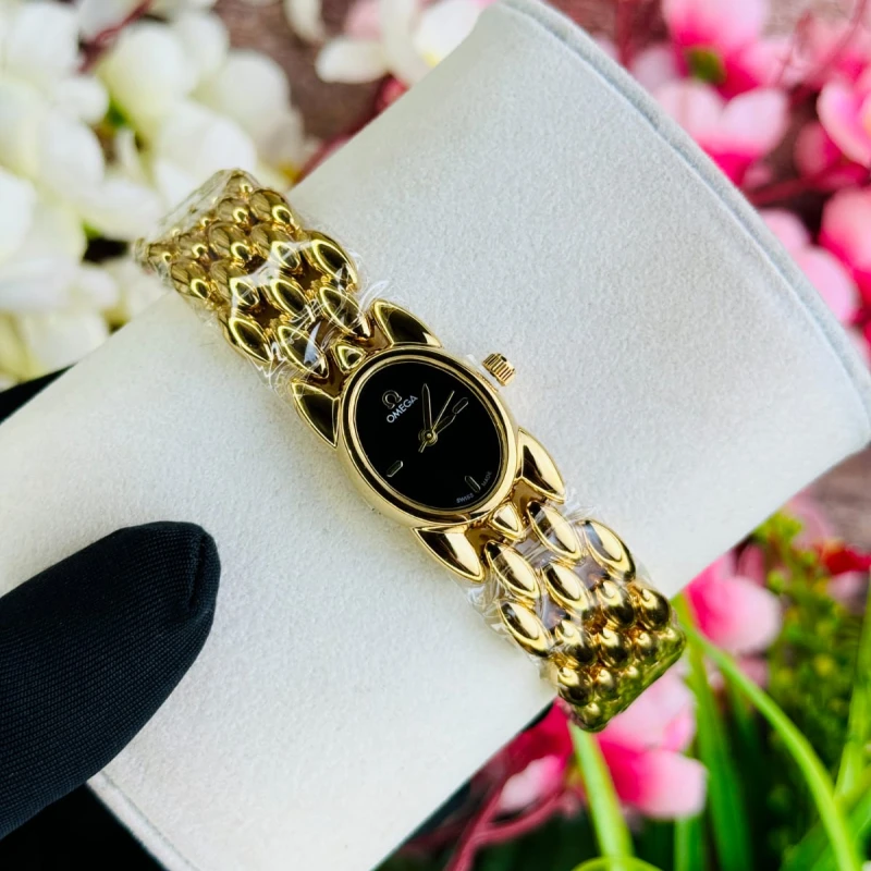 Gorgeous Ladies Watch